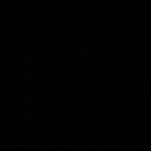 Meet your Posher, Alana